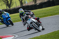 Lower Group White Bikes